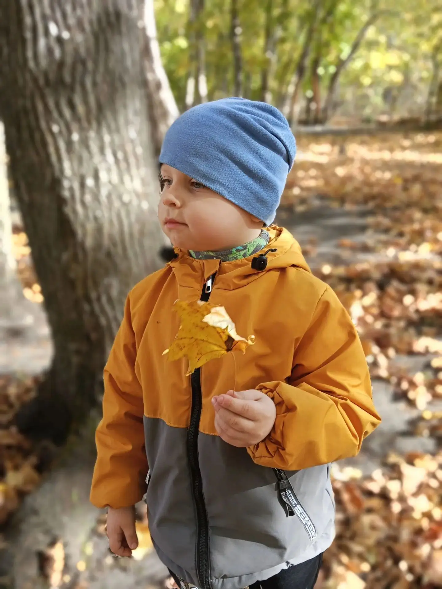 🍂🍁Осень- прекрасное и красивое время года! Сверкает еще теплое осеннее солнышко 🌞, ш...