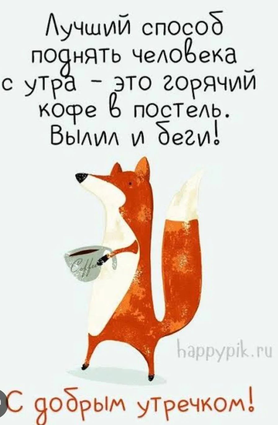 Доброе утро ♥️