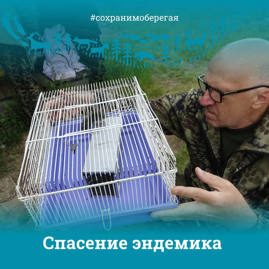 ✅СПАСЕНИЕ ЭНДЕМИКА