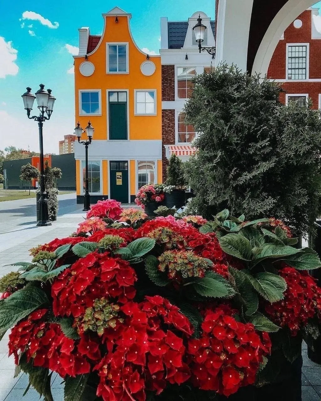 📸 Маленькая Европа рядом с Петербургом