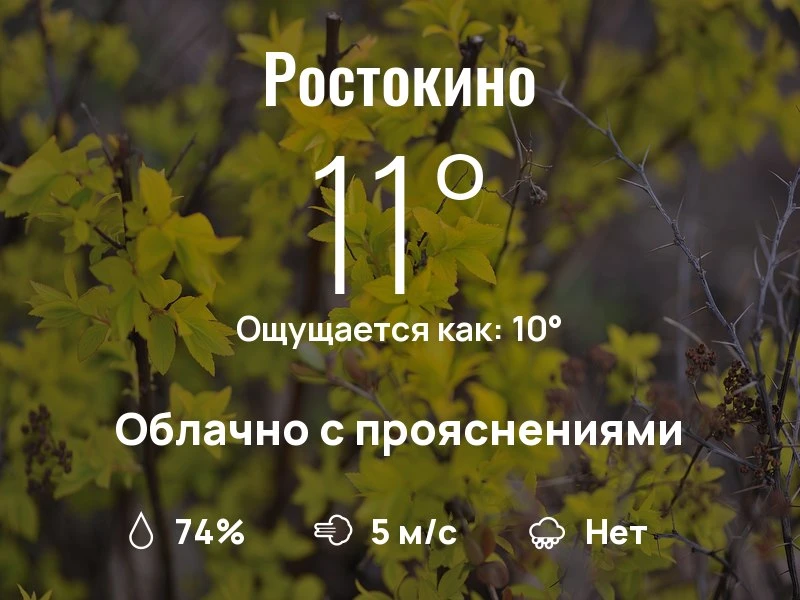 Что с погодой в Ростокино?