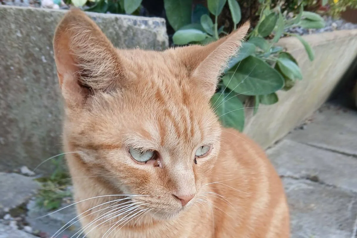 🍂 Доброе утро, соседи!