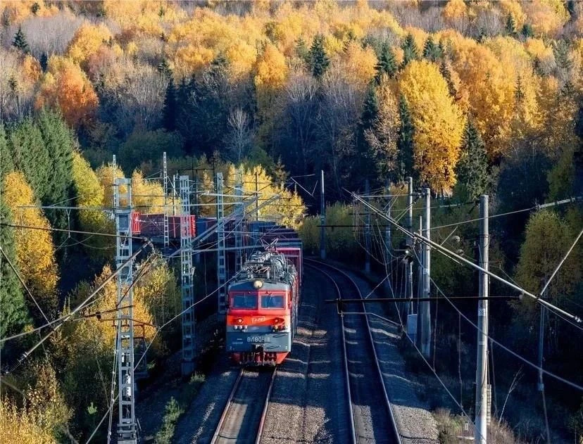 На этой неделе железнодорожники приступили к созданию нового ТПУ в Сергиевом Посаде, об...