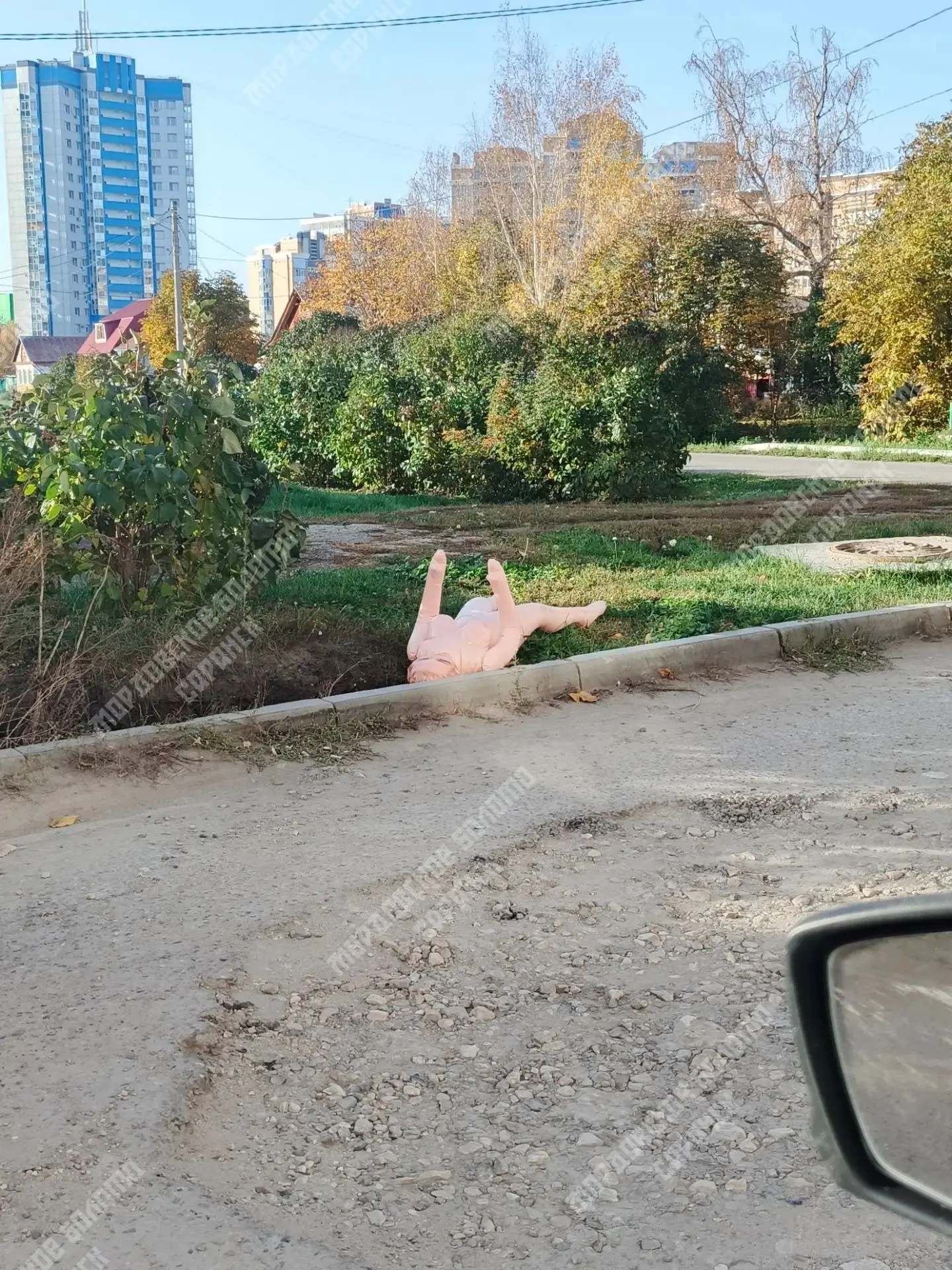 Чья дама выпала из колоды?