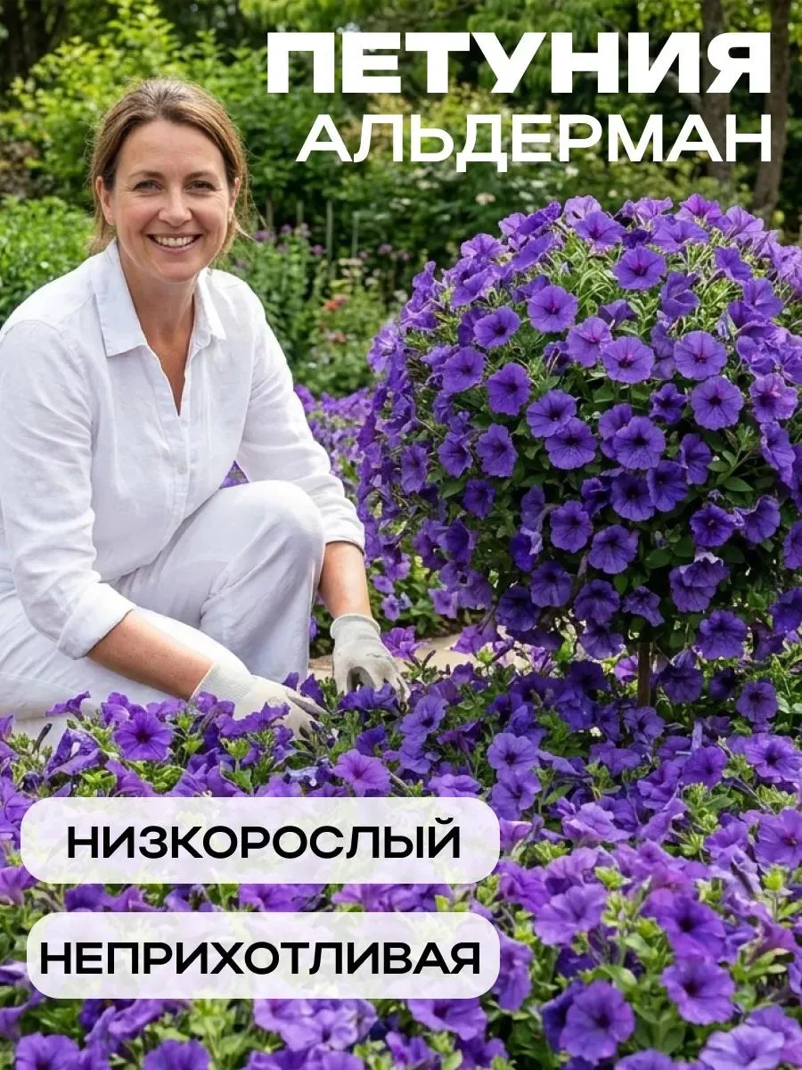 🔥 Семена Петунии Альдерман Многоцветковая Низкорослая