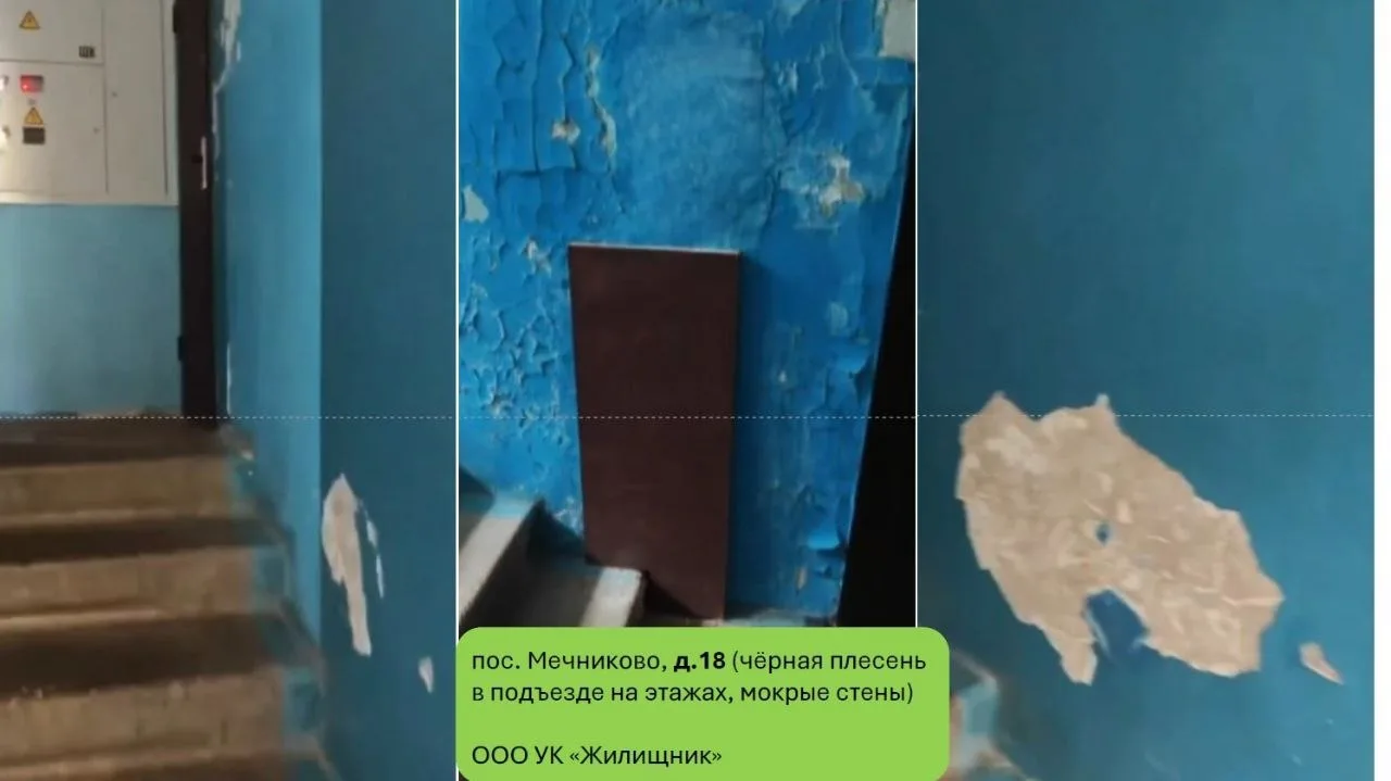 💼 Обход территории с фиксацией качества капремонта домов пройдёт сегодня в Мечниково
