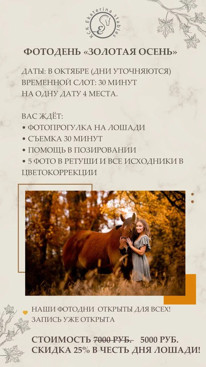 Фотодень с лошадьми