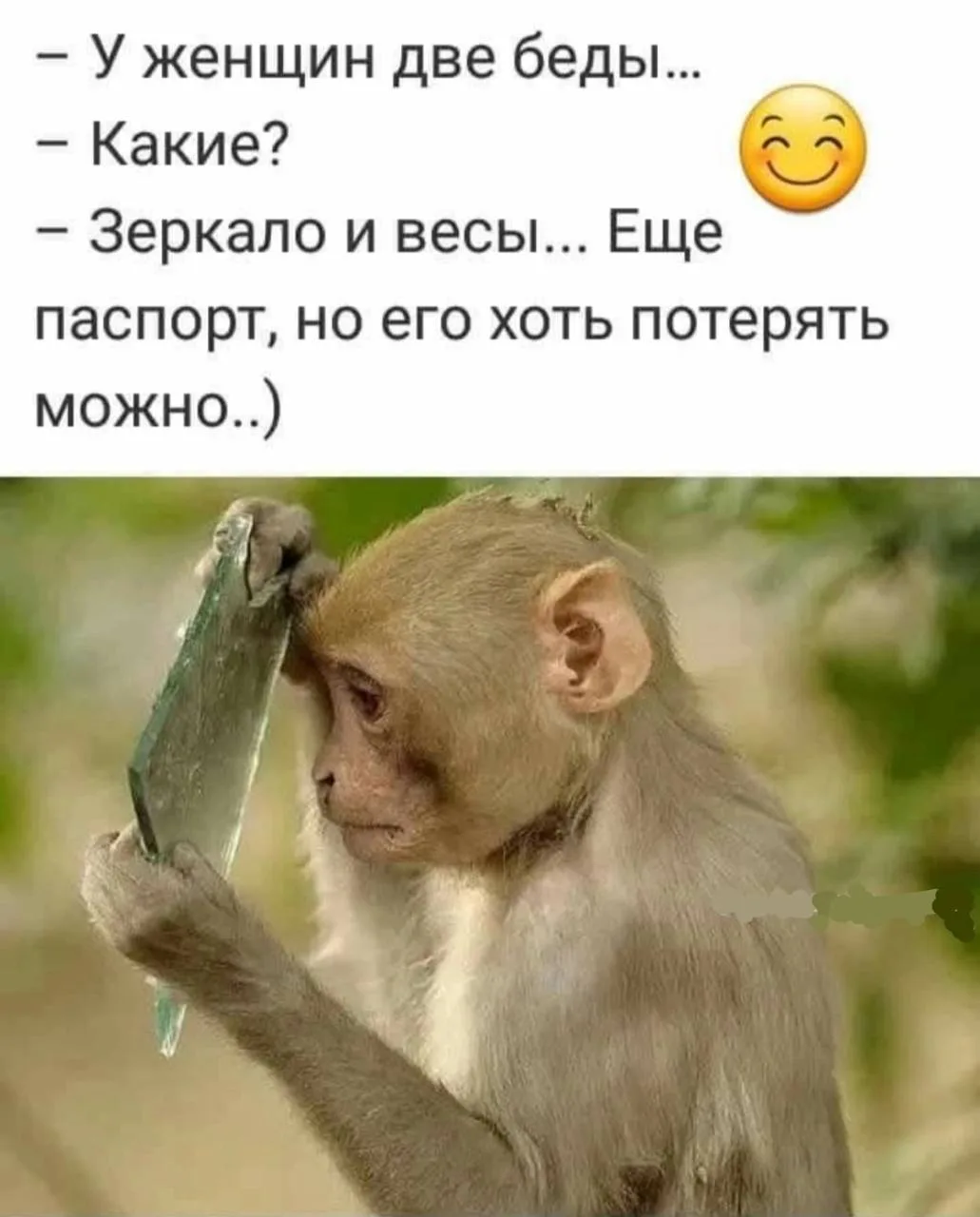 🤭🤭🤭