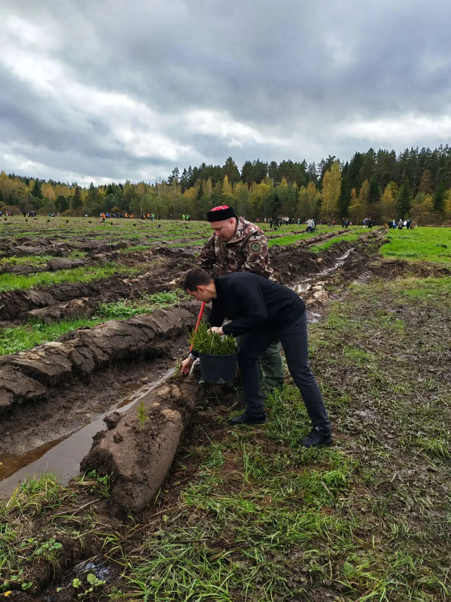 🌳 Всероссийская акция «Сохраним лес» в Тосненском районе. Принял участие в высадке 10 ...