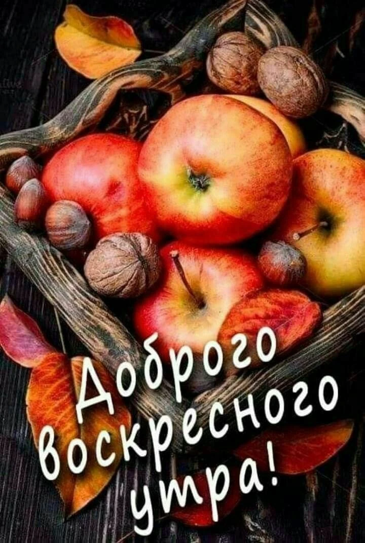 Изображение 1 к публикации «Какой завтра праздник? Открытки поздравления гифки»