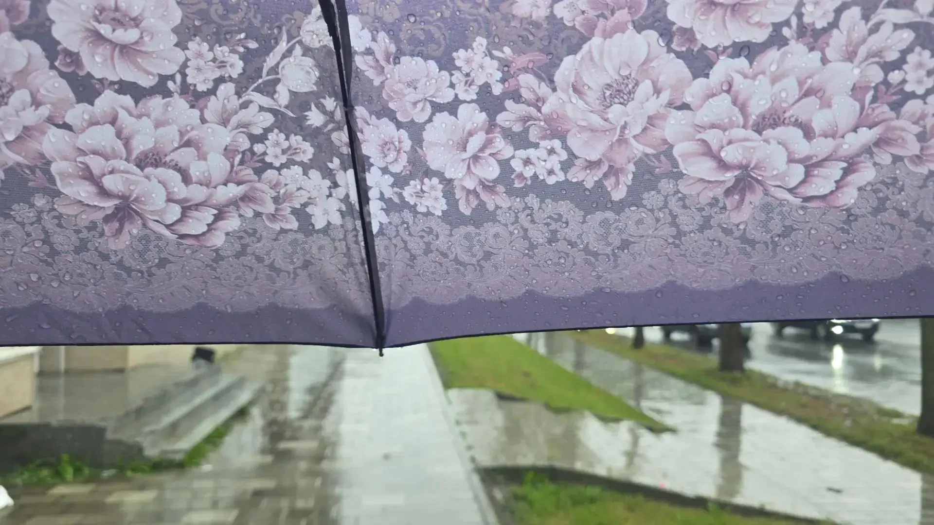 ☔ Штормовой ветер до 30 м/с, дожди и гололед: Сахалин ждет резкое похолодание 15 октября