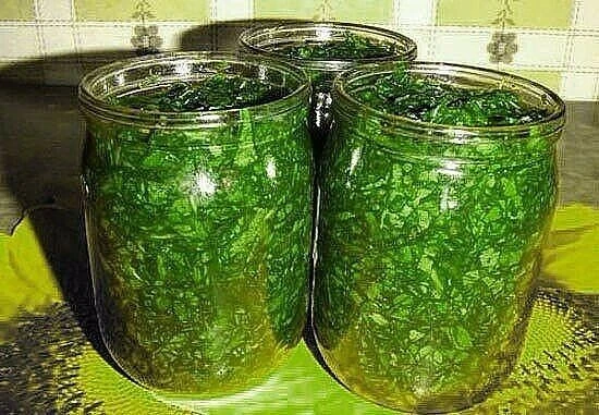 Щавель на зиму без соли