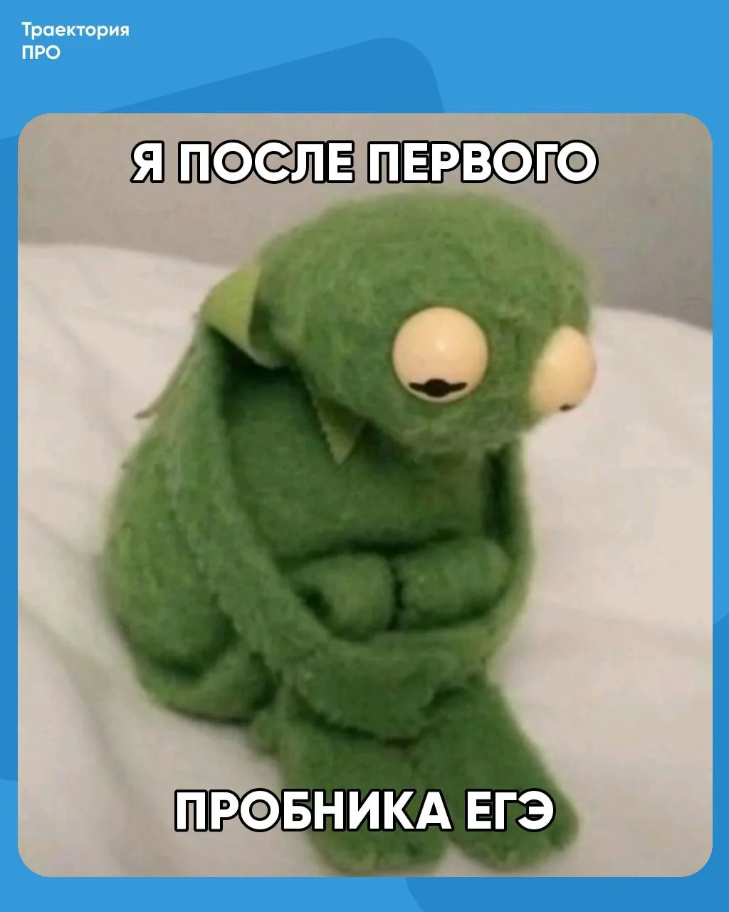 Первый пробник ЕГЭ позади, а настроение примерно такое 🐸