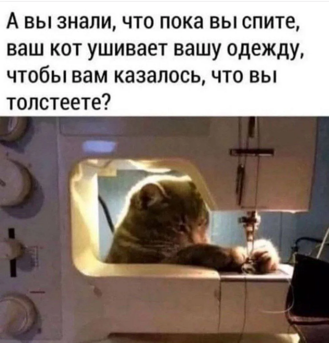 👉 Ёжка - Подписаться