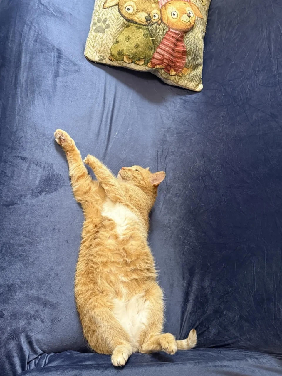 Лучик🌞❤️