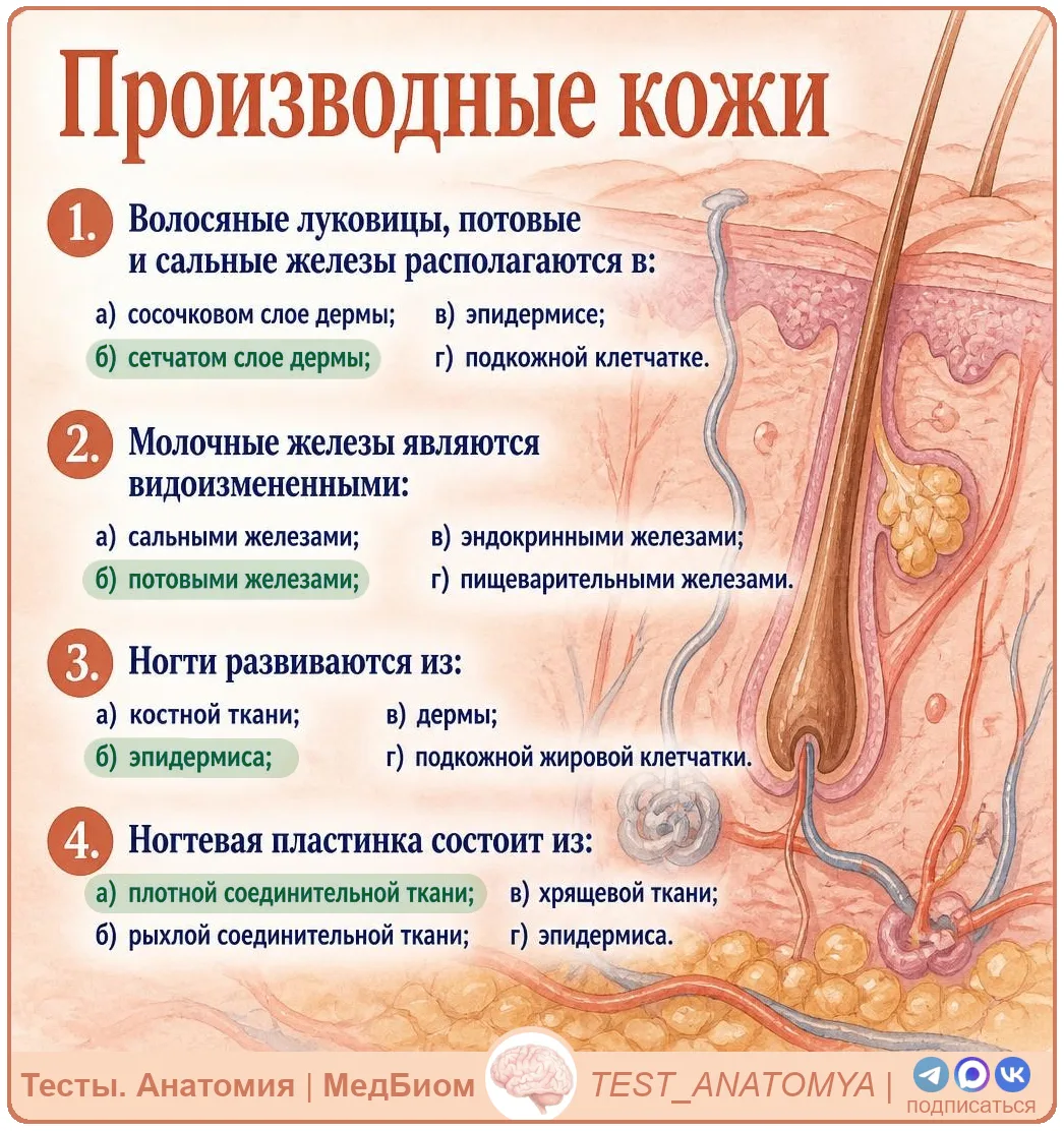 ⬆️ Ответы на вопросы