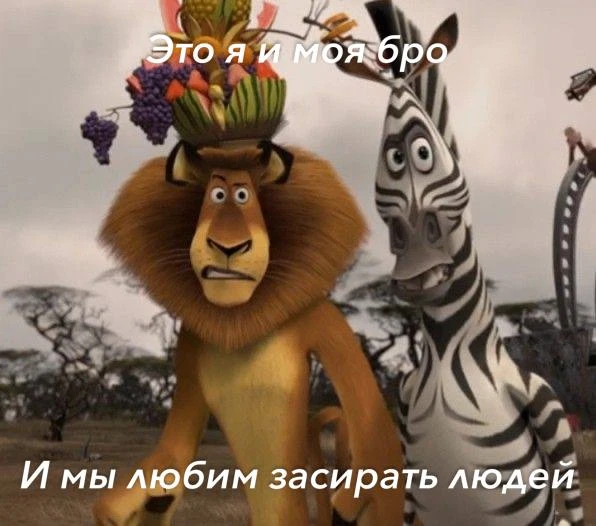 *ну мы бро?