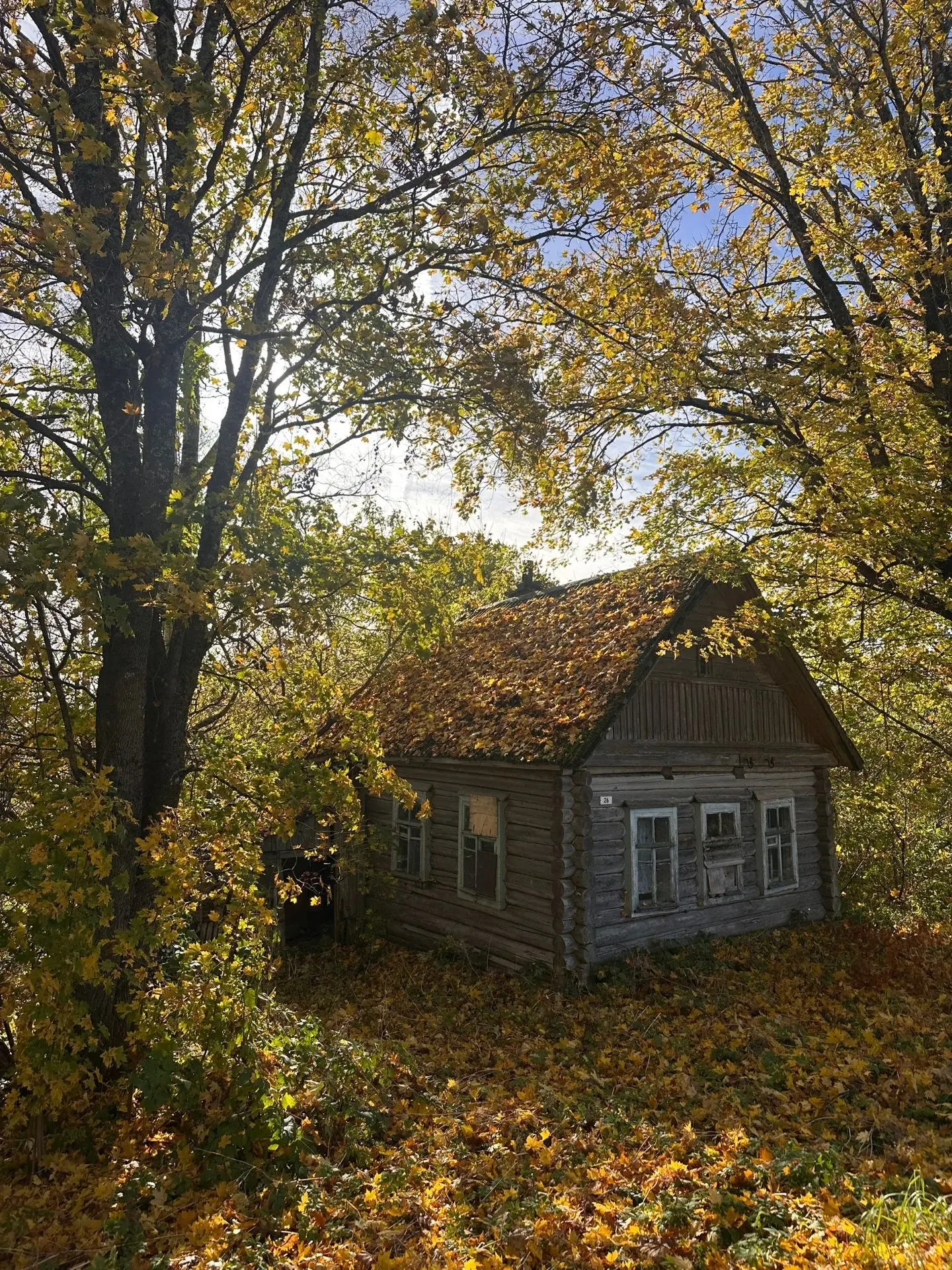 Осень, тепло!