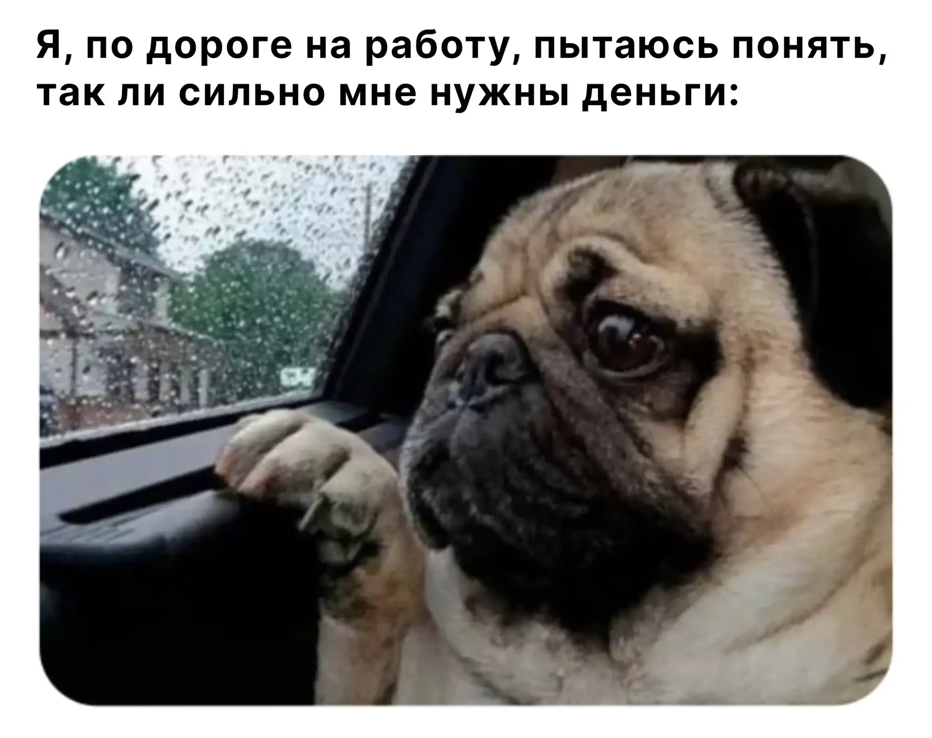 😭Я, по дороге на работу, пытаюсь понять, так ли сильно мне нужны деньги: