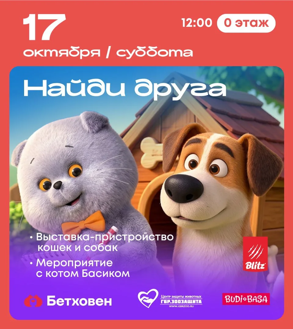🐾 Кот Басик и его друзья - встречаемся на выставке-пристройстве кошек и собак! 🐱🐶