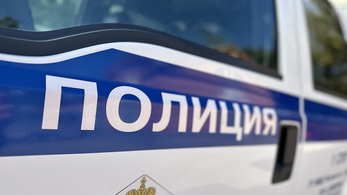 В Калининграде 11-летняя девочка пыталась поджечь автомобиль полиции!