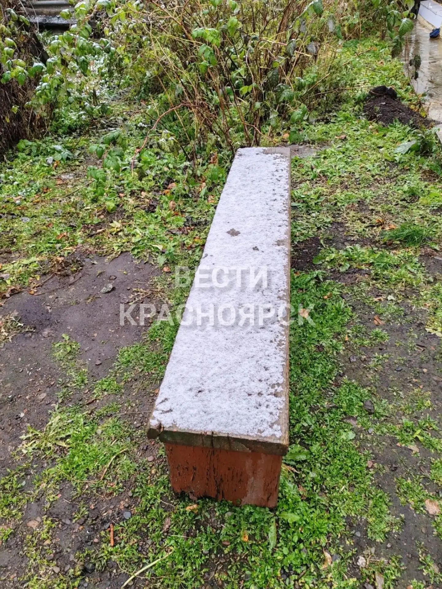 Снег выпал в деревне Николаевка Балахтинско-Новосёловского округа