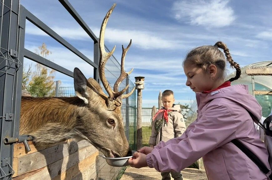 🦌 Активисты Движения Первых побывали на мини‑ферме «Сенежский олень»