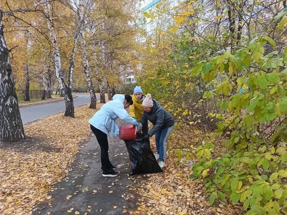 В Барнауле продолжается осенняя уборка территорий города
