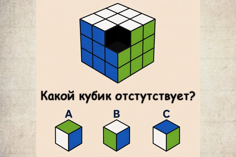 #Тренировкамозга Пространственное мышление