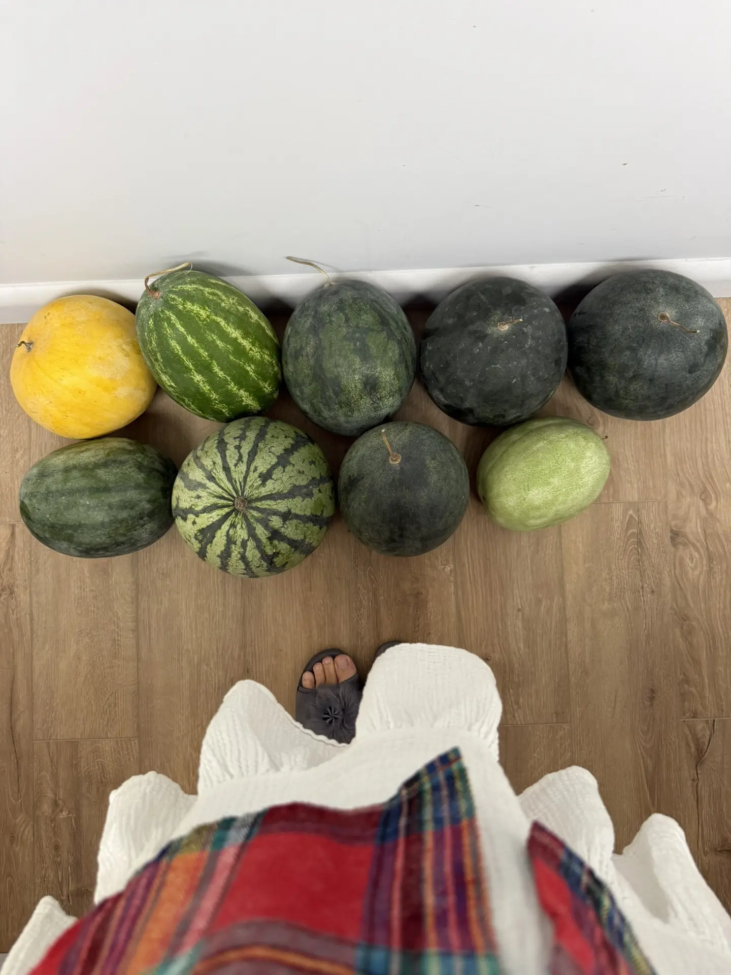 Какой 🍉 арбуз пробуем дальше? Я очень хочу попробовать сохранить хотя бы один свой арб...