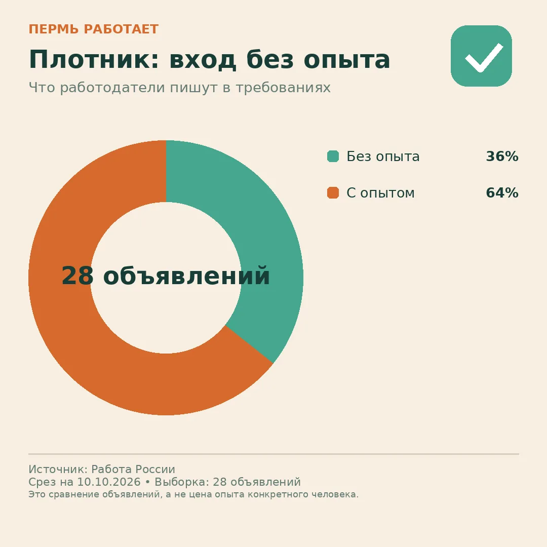 🚪 Плотник: сколько объявлений открыты новичкам