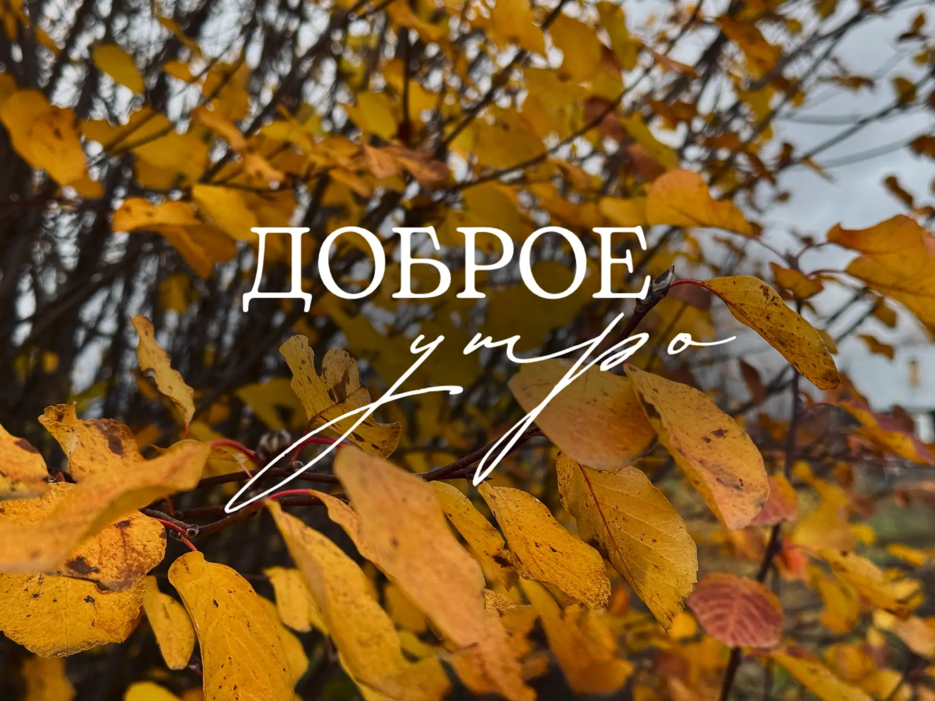 Доброе утро 🌄