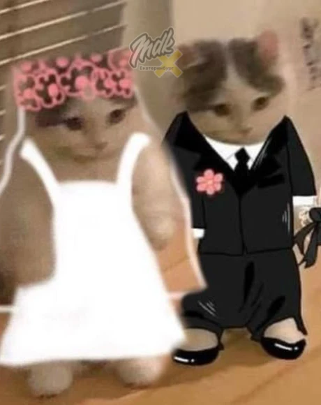 💍 В УрФУ можно будет пожениться прямо в университете