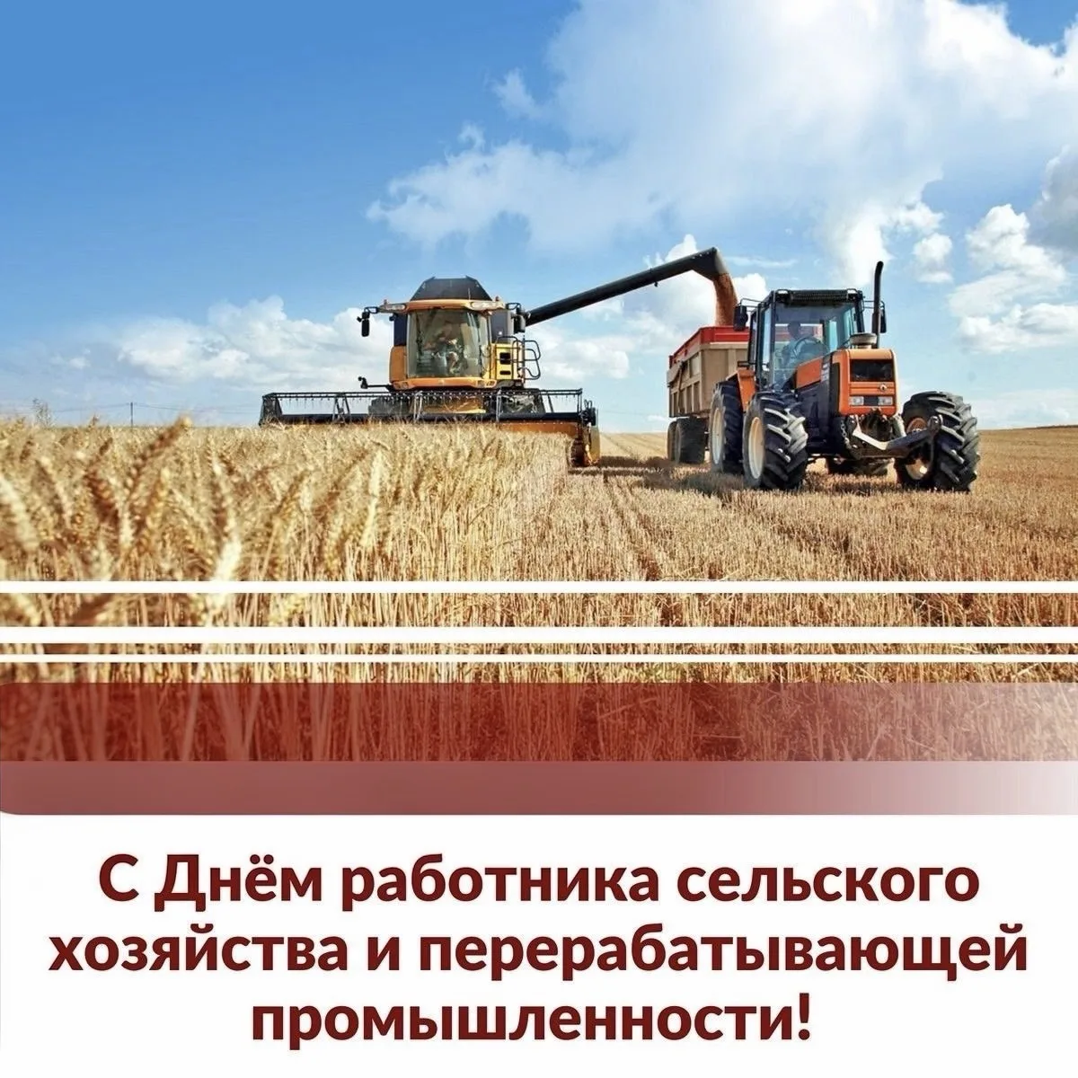 Уважаемые труженики села, работники и ветераны сельского хозяйства Октябрьского района!