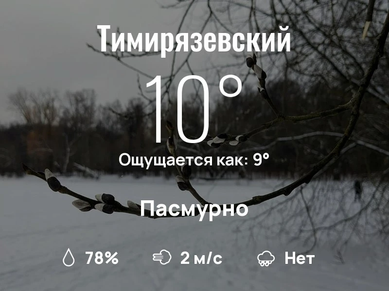 Что с погодой в Тимирязевском?