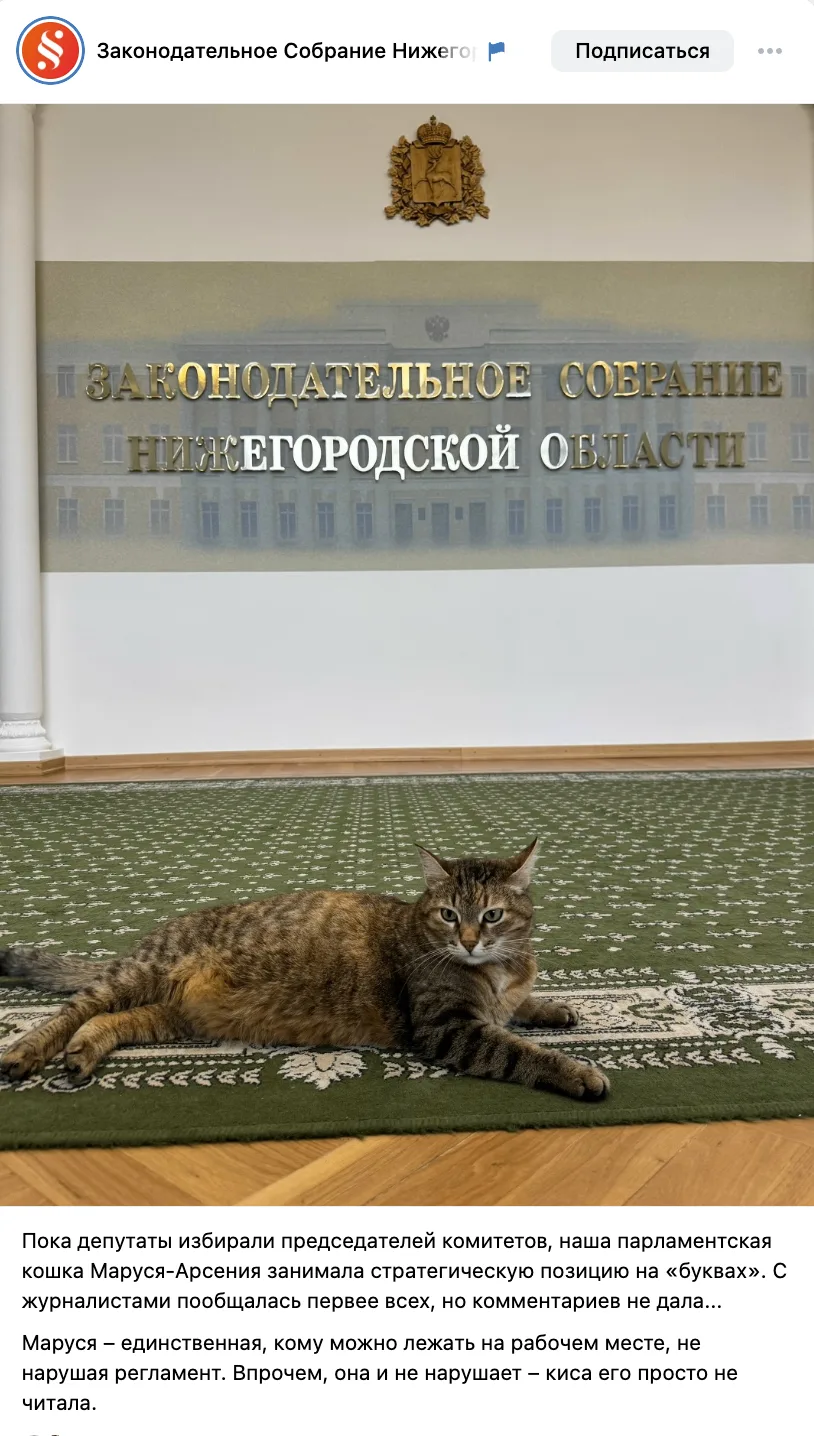 Хороший эмоциональный пост в группе Заксобрания Нижегородской области. Юмор + котики = ...