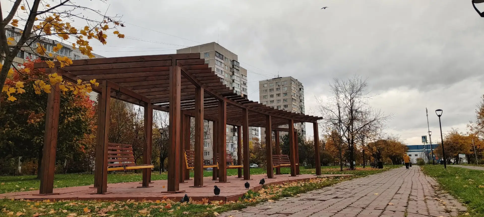 Пока никто не видит, ветер и осень совершенно точно держатся за руки и покачиваются вме...