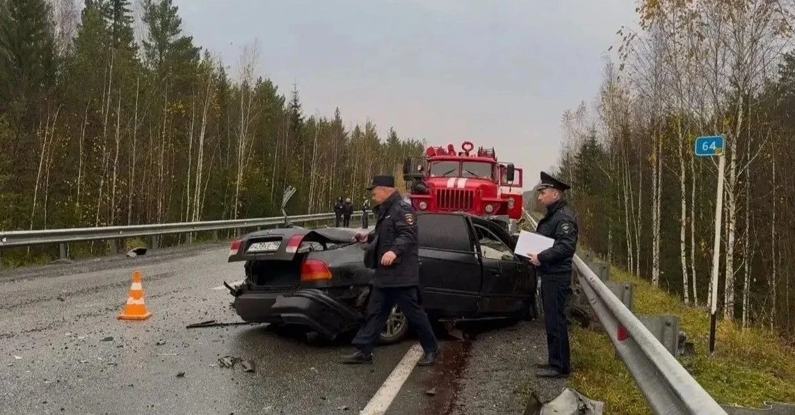 В Режевском районе сотрудники Госавтоинспекции установили предварительные данные смерте...