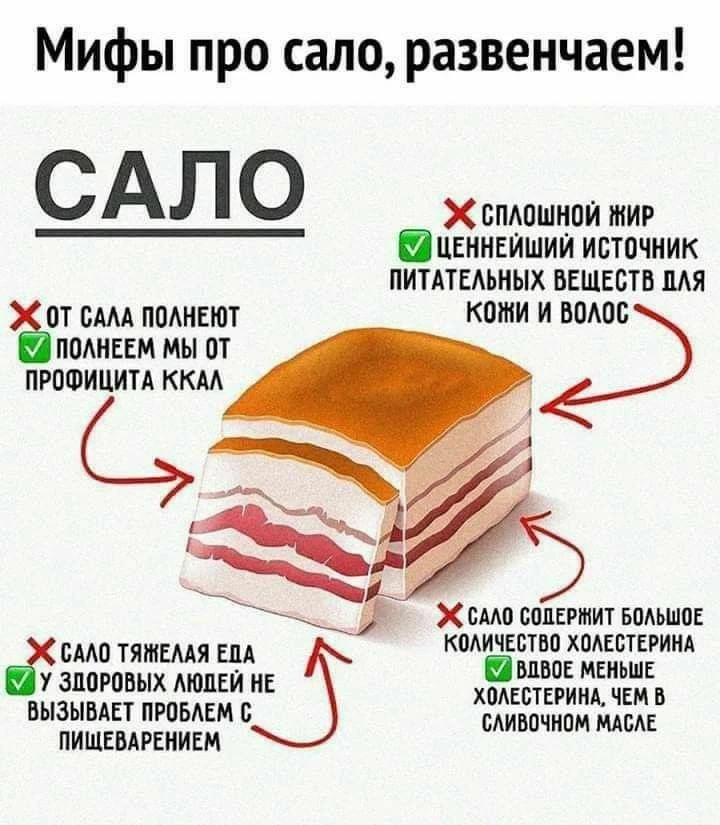 Умеренное употребление свиного сала укрепляет иммунную систему, поддерживает работу моз...