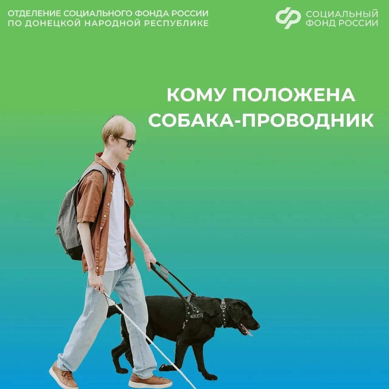🦮 Собака-проводник — помощник и поддержка для незрячих людей