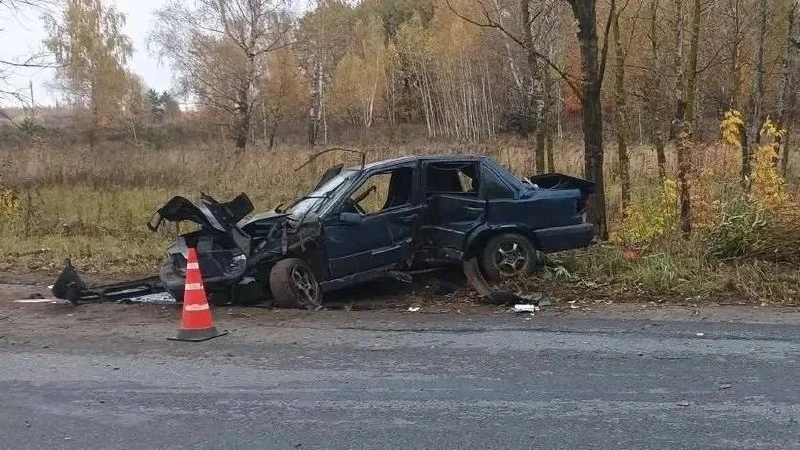 Вчера в Орле на Раздольной автомобиль врезался в дерево