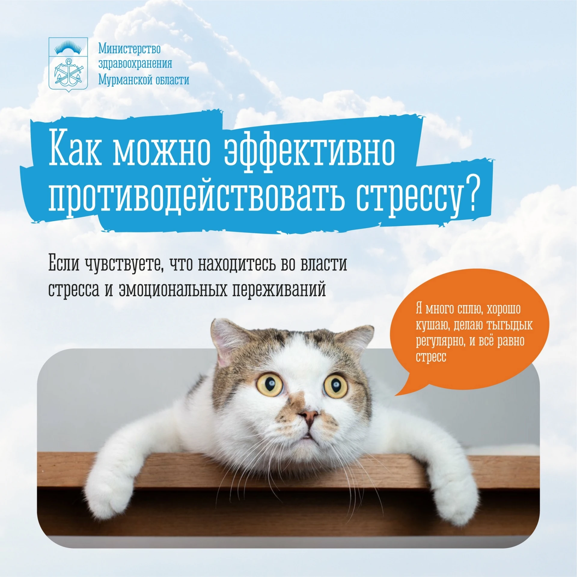 😣 Психическое здоровье – основа благополучия для каждого!
