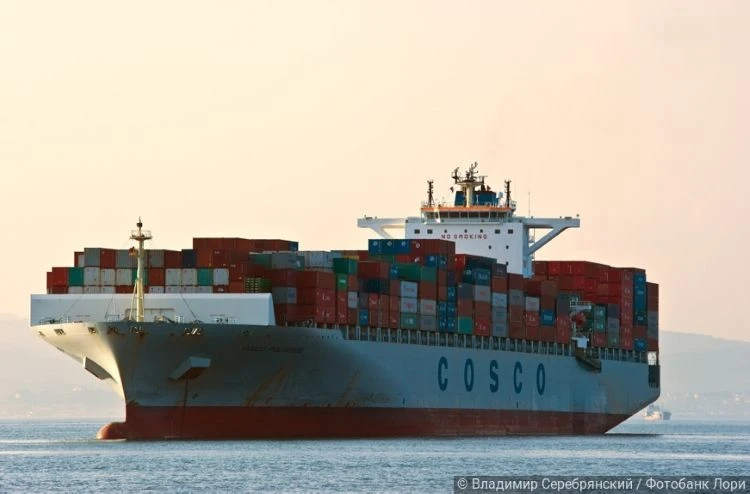 Германия запретила Cosco купить 80% гамбургского экспедитора Zippel