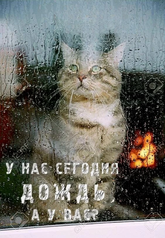 Заходи за хорошим настроением! 👉Подписаться!
