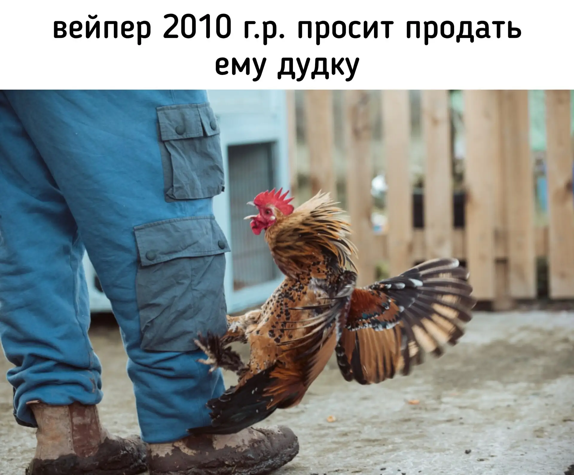 В России предложили запретить продажу вейпов рожденным с 2009 года