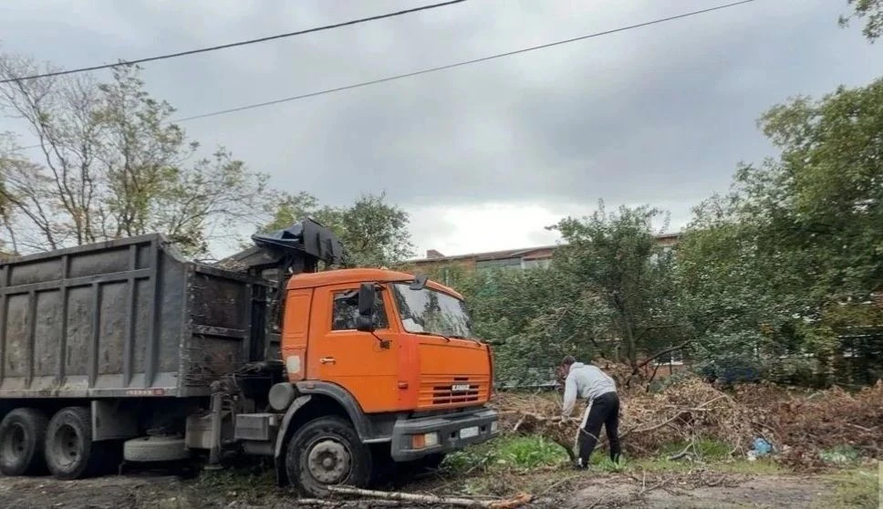 🌳 Октябрьским территориальным отделом проводятся работы по благоустройству с участием ...