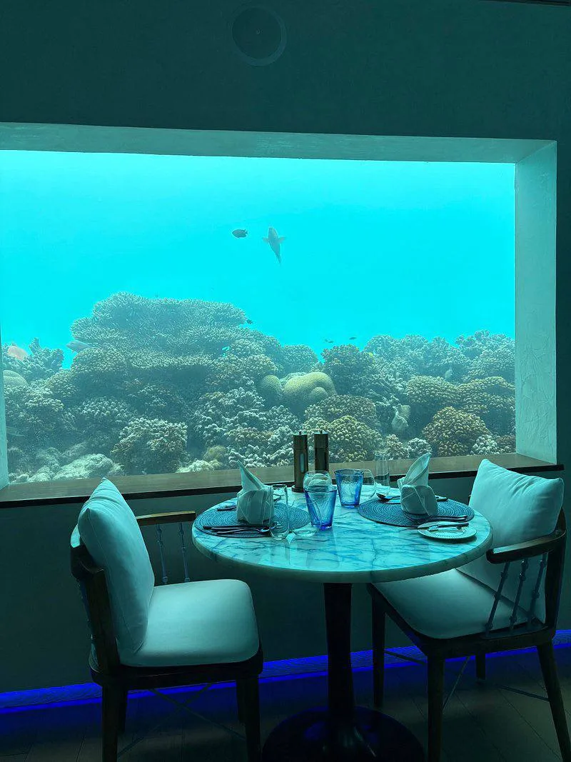 🏝️ Новый Год на Мальдивах по очень приятной цене 🇲🇻✨