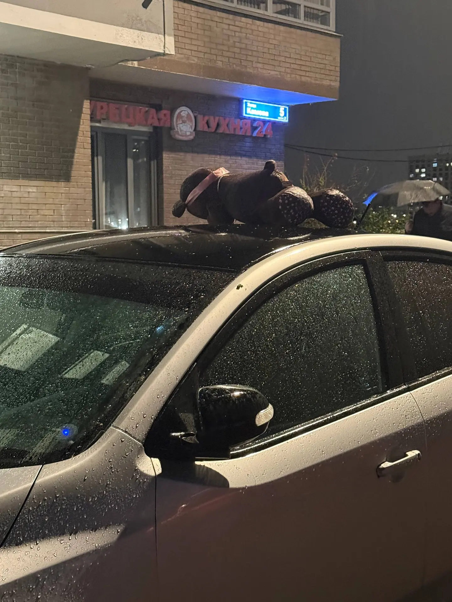 📍Мишка выпал или потерялся?