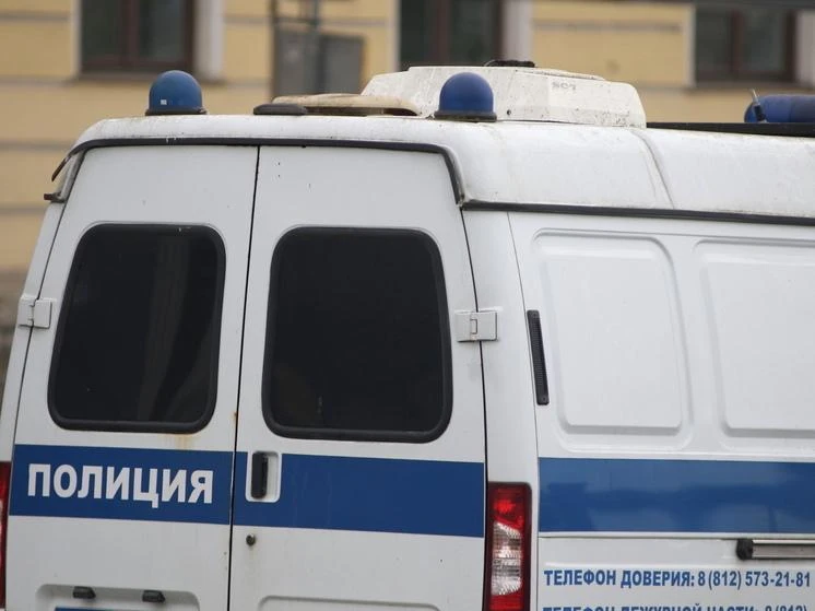 Школу № 351 на Витебском проспекте эвакуировали из-за сообщения о минировании