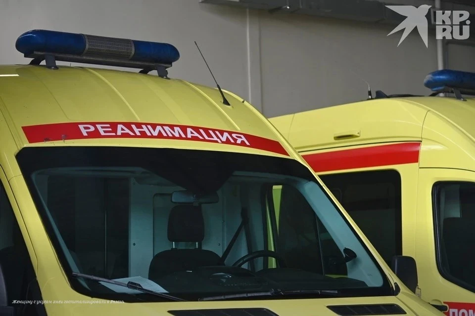 Женщину с укусом змеи госпитализировали в Рязань